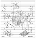 Diagram for Body Parts