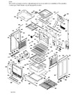 Diagram for Body Parts