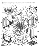 Diagram for Body Parts