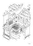 Diagram for Body Parts