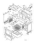 Diagram for Body Parts