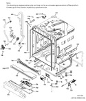 Diagram for Body Parts