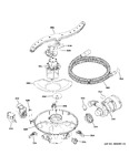 Diagram for Motor, Sump & Filter Assembly