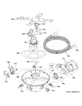 Diagram for Motor, Sump & Filter Assembly